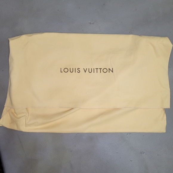 LOUIS VUITTON DELIGHTFUL MM size [EUC] - Picture 15 of 16